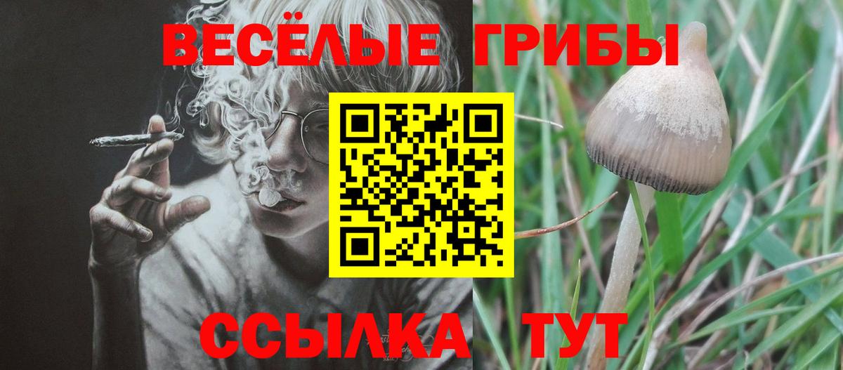 купить наркотик  Вход с VPN  Ишимбай  Псилоцибиновые грибы Psilocybine cubensis 